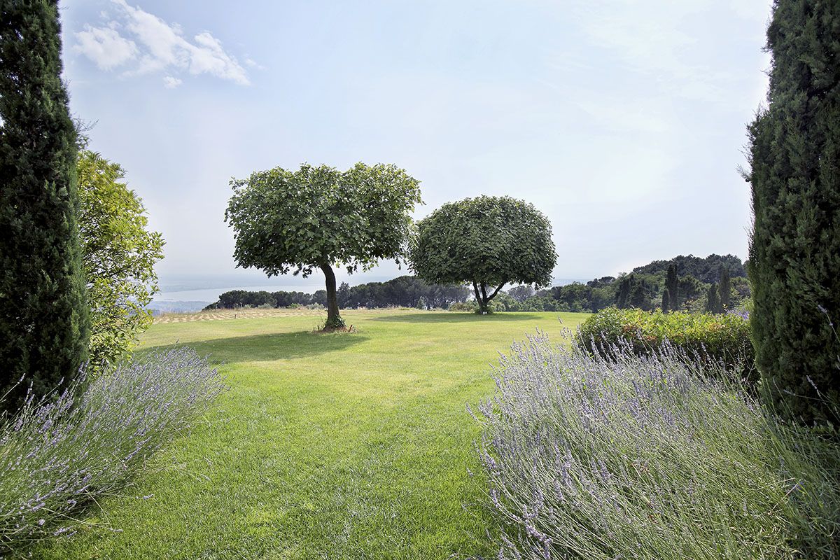 Pisa and Lucca