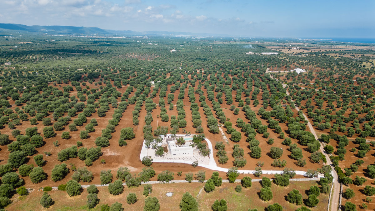 Villa Image
