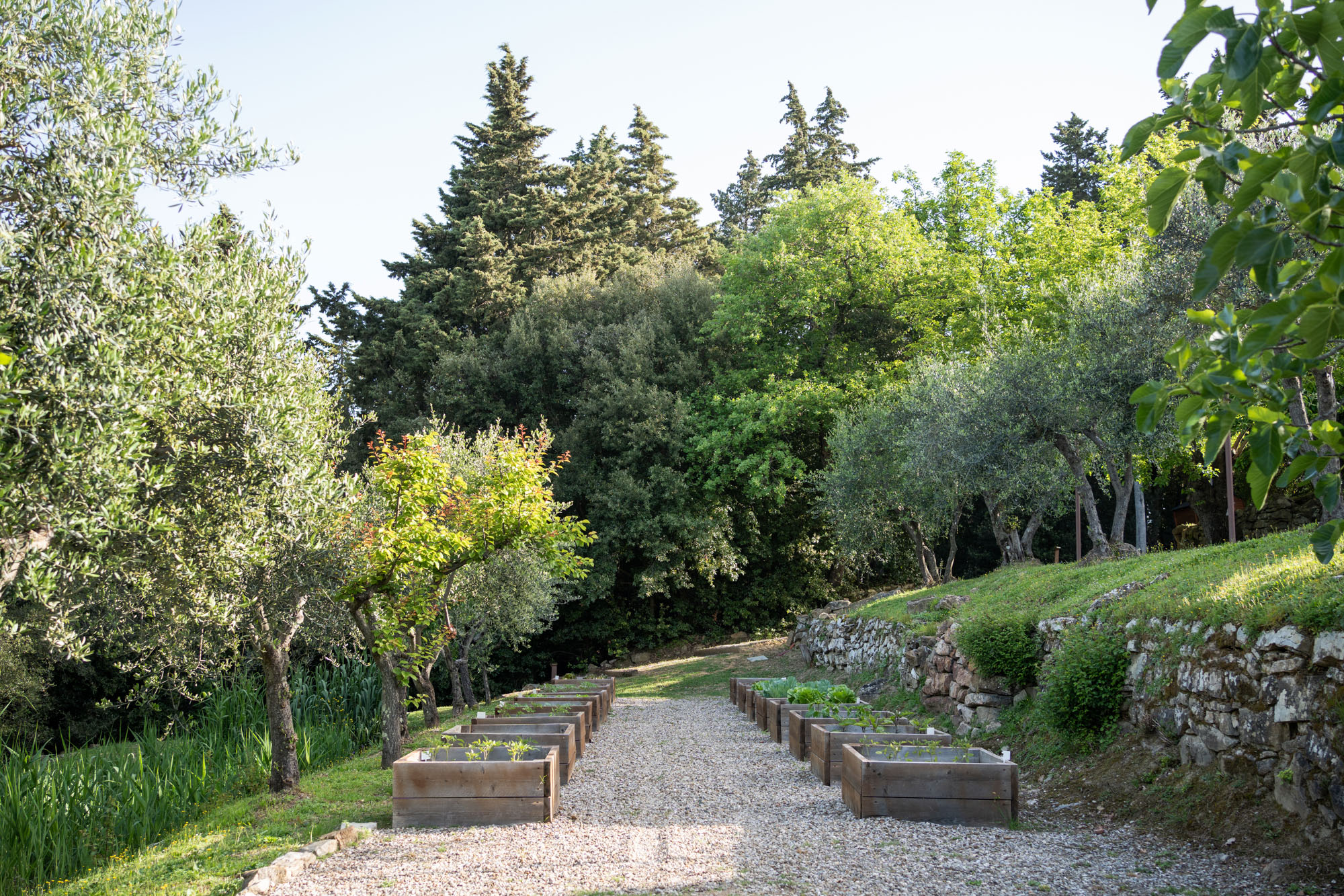 Villa Image