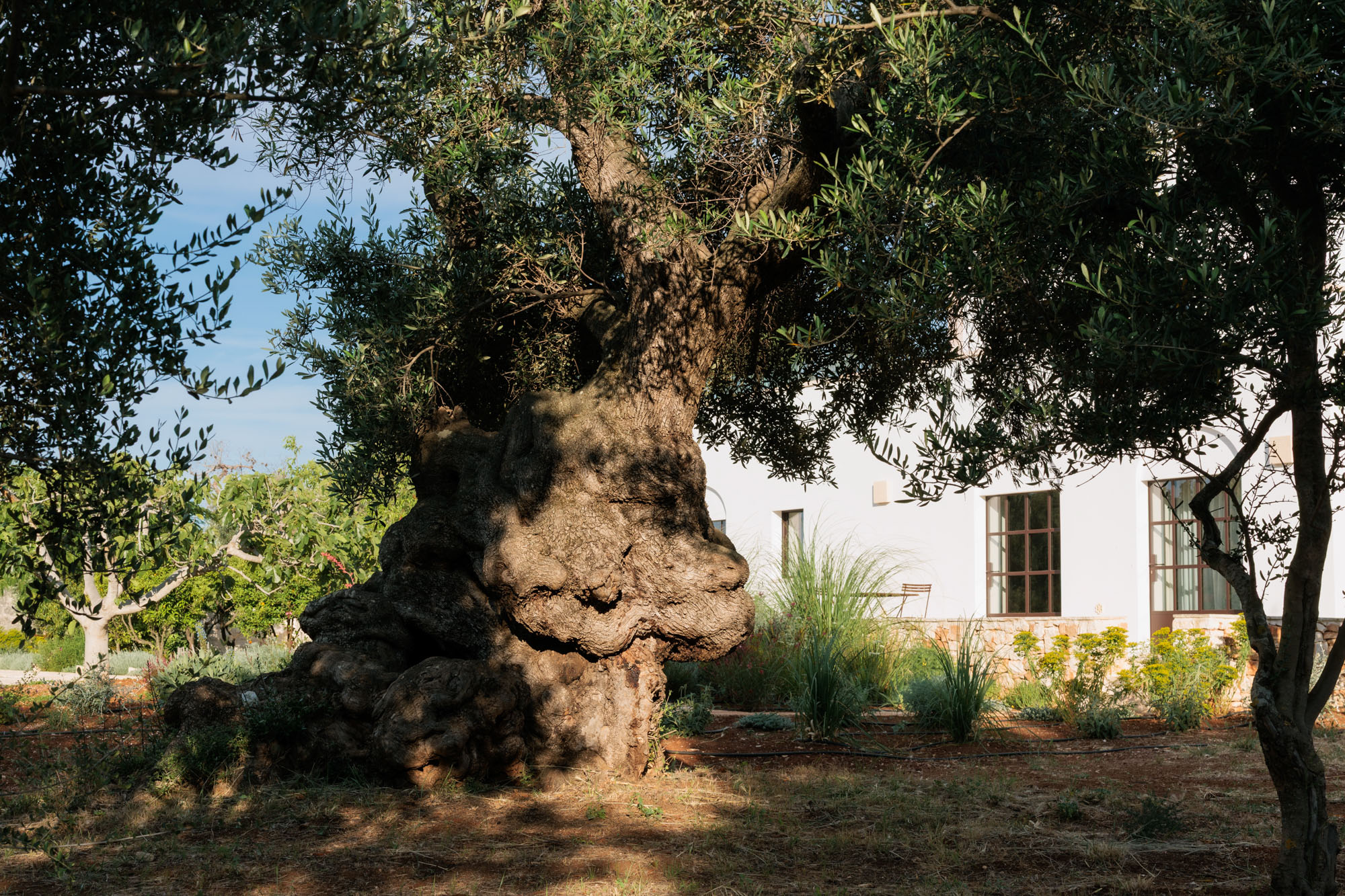 Villa Image