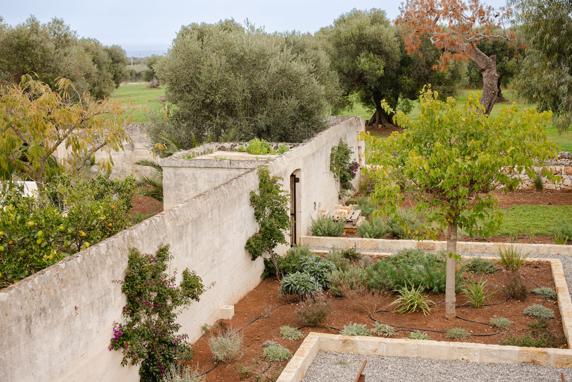 Villa Image
